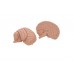 podstawowy model ludzkiego mózgu, 2 części - 3b smart anatomy - 1000223 [c15/1] 3b scientific modele anatomiczne 7